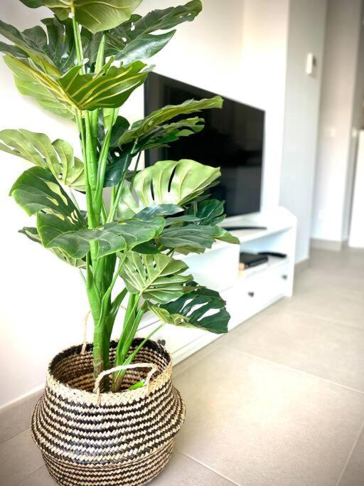 Mychoice Diana By Bossh! Apartment